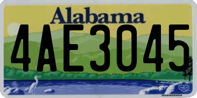 AL license plate 4AE3045