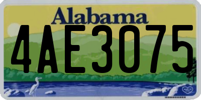 AL license plate 4AE3075