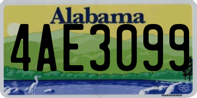 AL license plate 4AE3099
