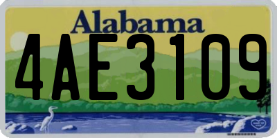 AL license plate 4AE3109