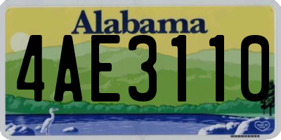 AL license plate 4AE3110