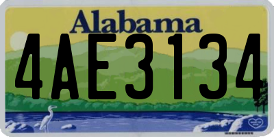 AL license plate 4AE3134