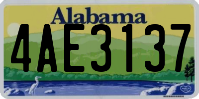 AL license plate 4AE3137