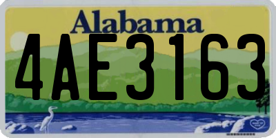 AL license plate 4AE3163