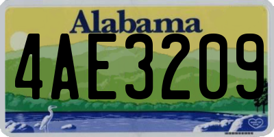 AL license plate 4AE3209
