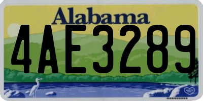AL license plate 4AE3289