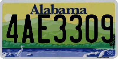 AL license plate 4AE3309
