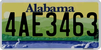 AL license plate 4AE3463
