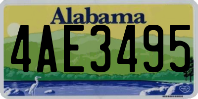 AL license plate 4AE3495