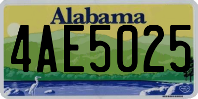 AL license plate 4AE5025