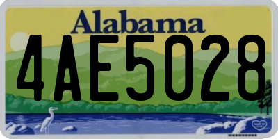 AL license plate 4AE5028
