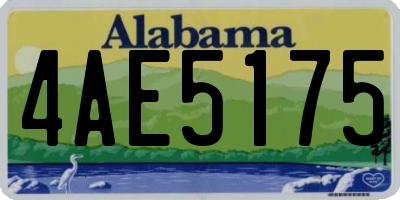 AL license plate 4AE5175