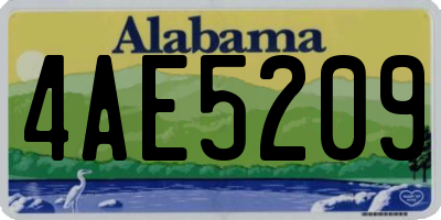 AL license plate 4AE5209