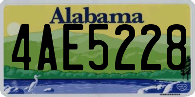 AL license plate 4AE5228