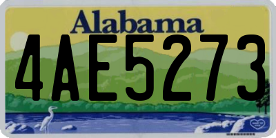 AL license plate 4AE5273