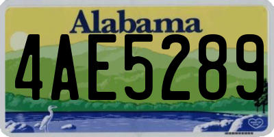 AL license plate 4AE5289