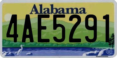 AL license plate 4AE5291