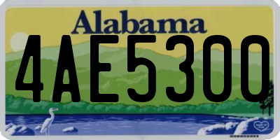 AL license plate 4AE5300