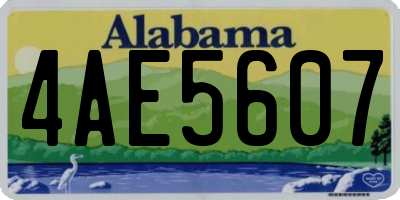 AL license plate 4AE5607