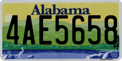 AL license plate 4AE5658