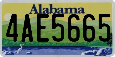 AL license plate 4AE5665