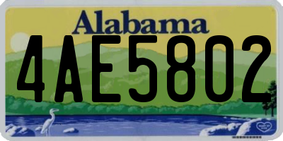 AL license plate 4AE5802