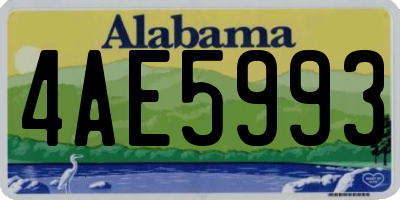 AL license plate 4AE5993