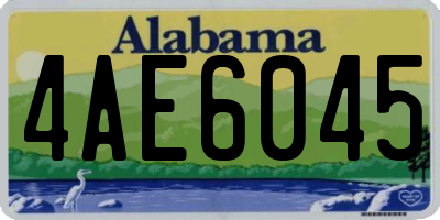 AL license plate 4AE6045