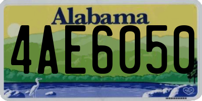 AL license plate 4AE6050