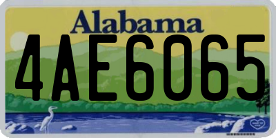 AL license plate 4AE6065