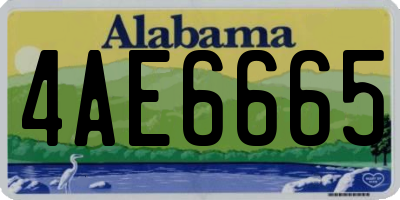 AL license plate 4AE6665