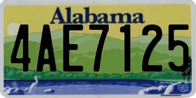 AL license plate 4AE7125