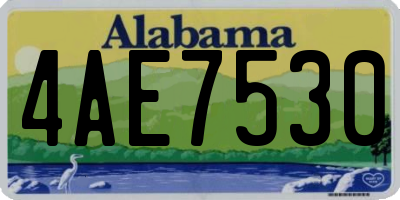 AL license plate 4AE7530