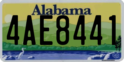 AL license plate 4AE8441