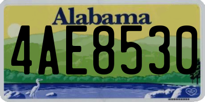 AL license plate 4AE8530