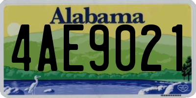 AL license plate 4AE9021