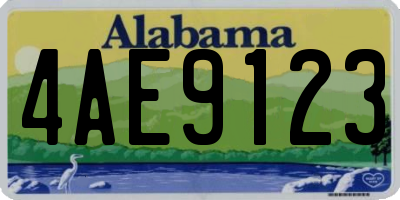 AL license plate 4AE9123
