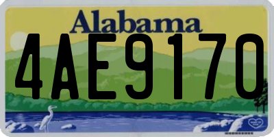 AL license plate 4AE9170
