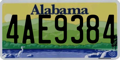 AL license plate 4AE9384