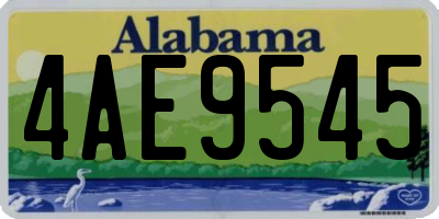 AL license plate 4AE9545