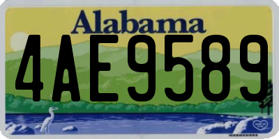 AL license plate 4AE9589