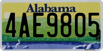 AL license plate 4AE9805