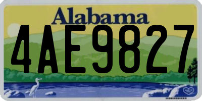 AL license plate 4AE9827