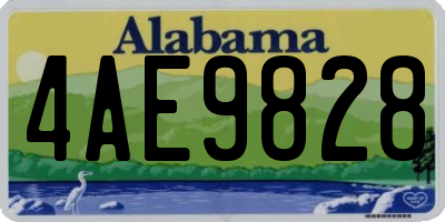 AL license plate 4AE9828