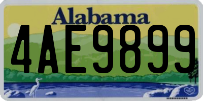 AL license plate 4AE9899