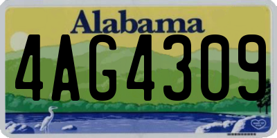 AL license plate 4AG4309