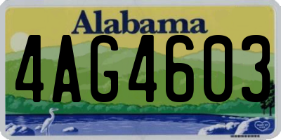 AL license plate 4AG4603