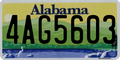AL license plate 4AG5603