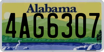 AL license plate 4AG6307