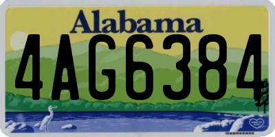 AL license plate 4AG6384